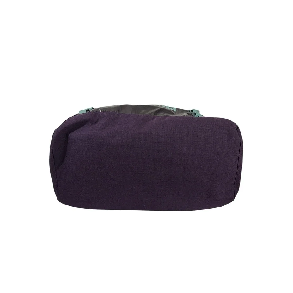 PATAGONIA BLACK HOLE 60L DUFFEL BAG PURPLE GREEN